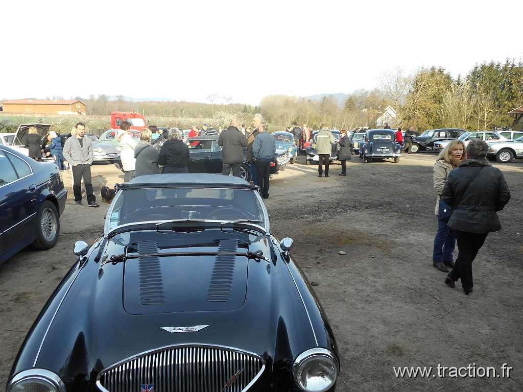 2016_Rodagea (6).JPG - 10/04/2016 - 68116 GUEWENHEIM - La Ferme au Cheval